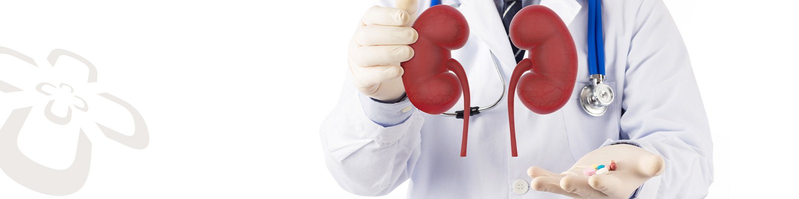 You are currently viewing Understanding Kidney Stone Treatment: A Brief Guide 