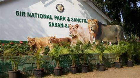You are currently viewing Wildlife Safari in Gir National Park – A Complete Travel Guide