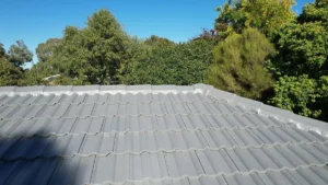Read more about the article Roof Maintenance and Restoration Services in Canberra