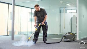 Read more about the article Should I Rent a Carpet Cleaner or Hire a Professional?