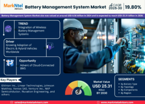 Read more about the article Battery Management System Market Share, Size and Key Trends Forecast to 2030