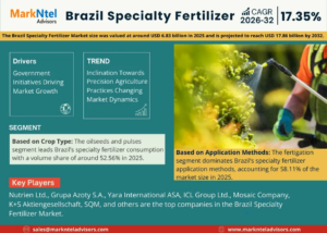 Read more about the article Brazil Specialty Fertilizer Market Size, Insights, Growth Rate, Trends Analysis And Forecast To 2032