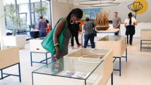 Read more about the article How are modern pot delivery services changing the research paradigm?