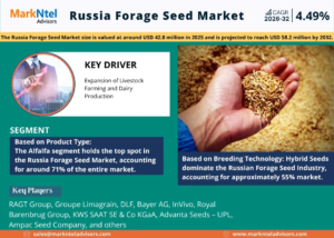 Read more about the article Russia Forage Seed Market Size & Growth Trends – Opportunities and Share Outlook 2026–2032