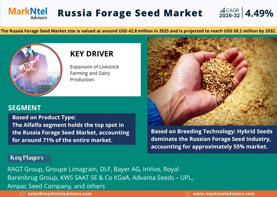 Read more about the article Russia Forage Seed Market Size & Growth Trends – Opportunities and Share Outlook 2026–2032