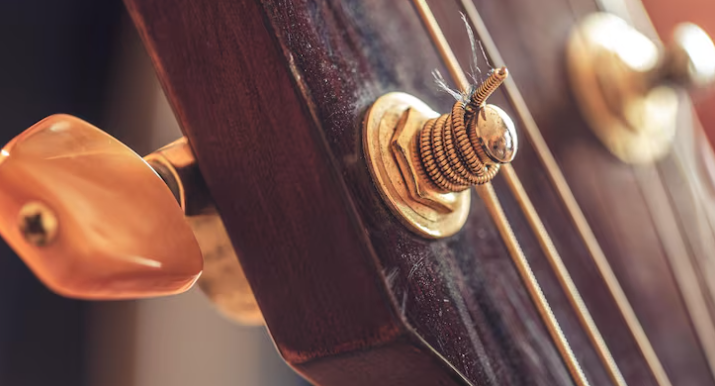 Read more about the article Exploring the Beauty of the 12 String Acoustic-Electric Harp Guitar and the 12 String Acoustic-Electric Parlor Harp Guitar