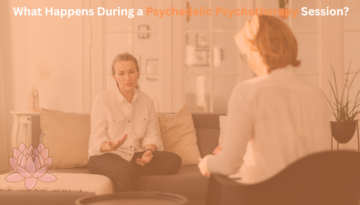 You are currently viewing What Happens During a Psychedelic Psychotherapy Session?