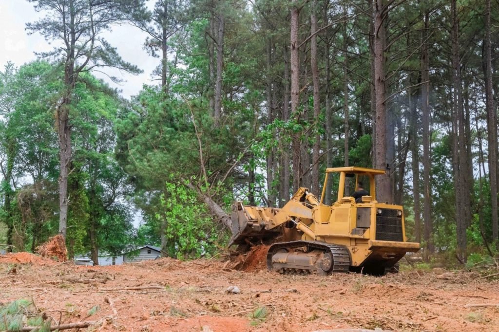 You are currently viewing How to Prepare Your Property with Professional Lot Clearing Services?