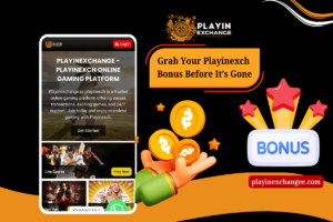 Read more about the article Grab Your Playinexch Bonus Before It’s Gone