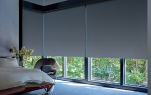 Read more about the article Automation and Motorized Shades Tampa for Smart Homes
