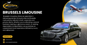 Read more about the article Why Limousine Rental Antwerp Is Trusted for Luxury Transport?