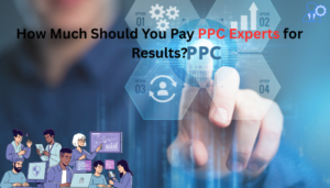 Read more about the article How Much Should You Pay PPC Experts for Results?