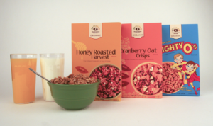Read more about the article Cereal Packaging Solutions in the USA