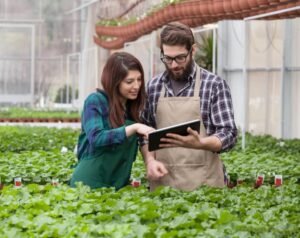 Read more about the article Trusted Agricultural Oil Suppliers Powering UK Farms