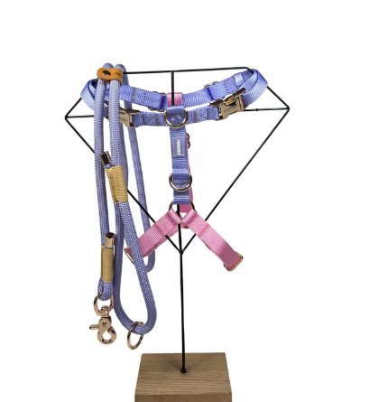 You are currently viewing Bundel Hond Accessoires – Complete Set voor Jouw Huisdier