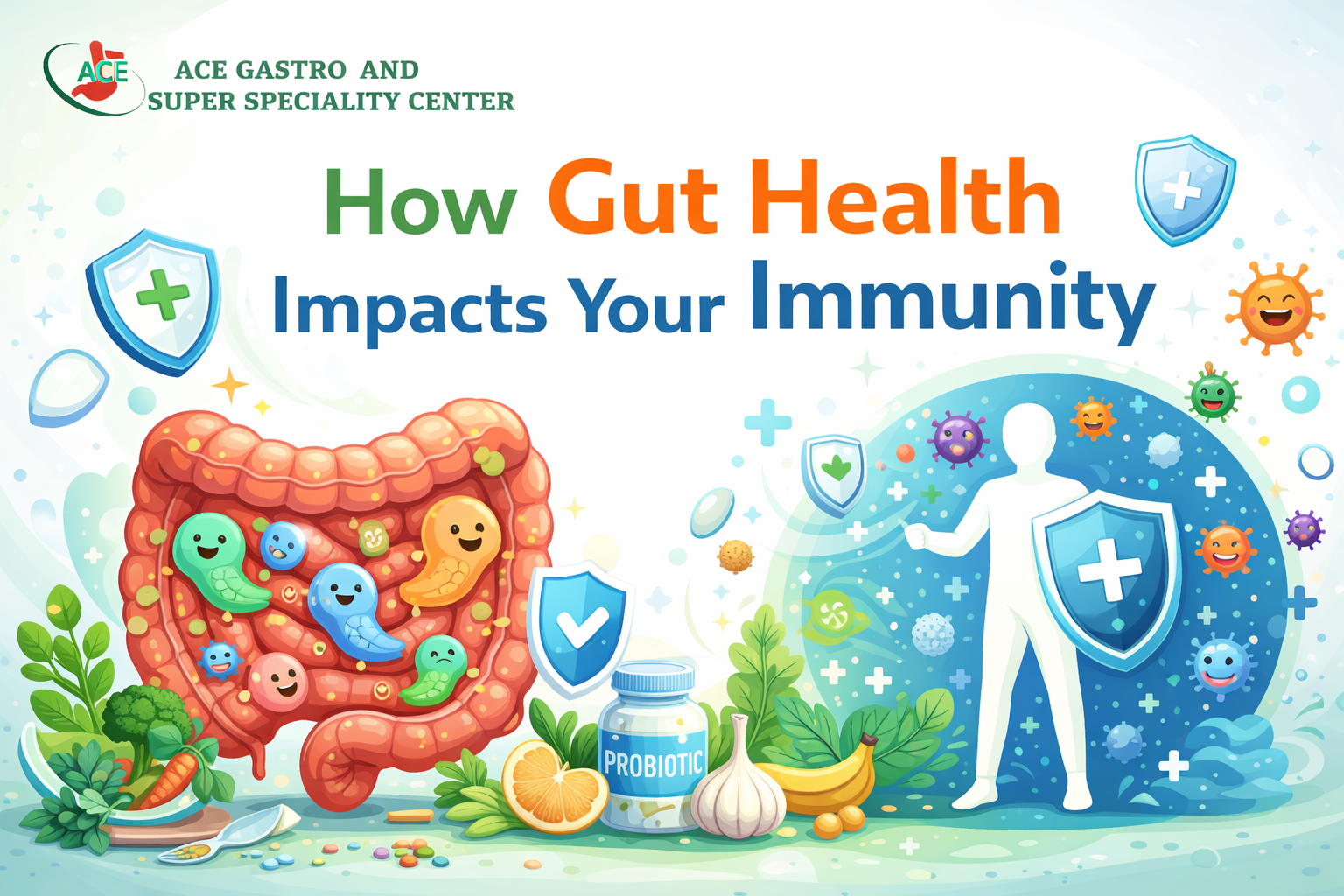 You are currently viewing How Gut Health Impacts Your Immunity