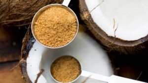Read more about the article Feasibility Report on a Coconut Sugar Manufacturing Plant Project Setup and Cost Analysis