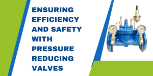 Read more about the article 