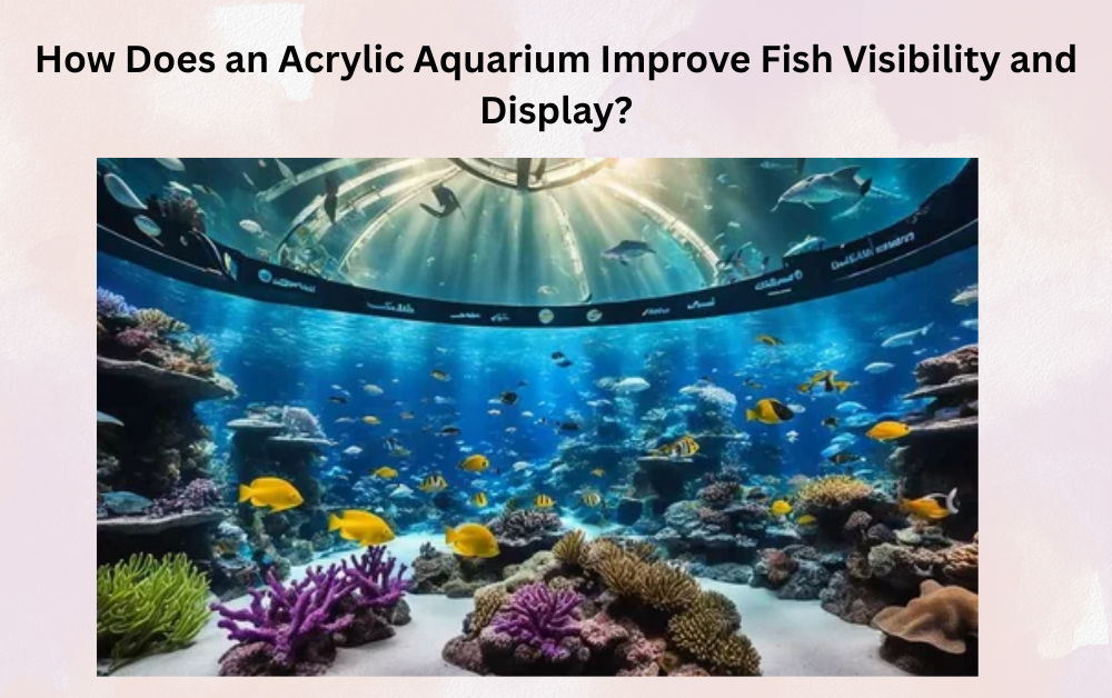 You are currently viewing How Does an Acrylic Aquarium Improve Fish Visibility and Display?