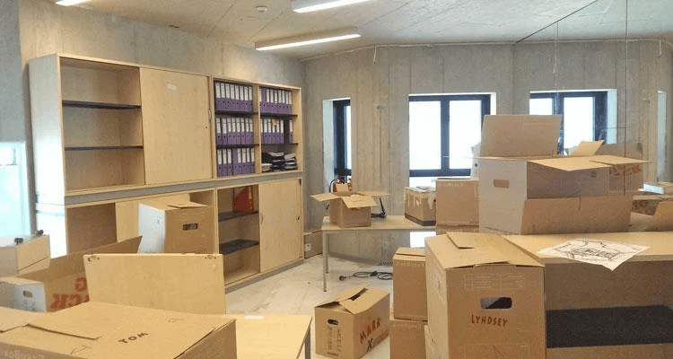 You are currently viewing 