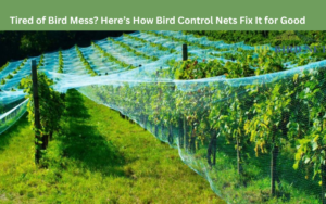 Read more about the article Tired of Bird Mess? Here’s How Bird Control Nets Fix It for Good