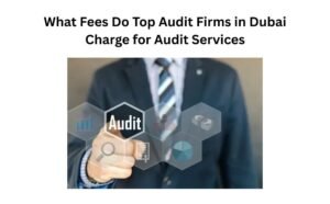 Read more about the article What Fees Do Top Audit Firms in Dubai Charge for Audit Services