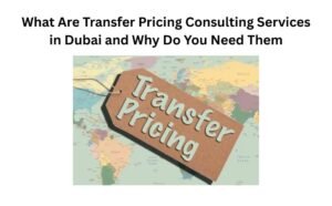 Read more about the article What Are Transfer Pricing Consulting Services in Dubai and Why Do You Need Them