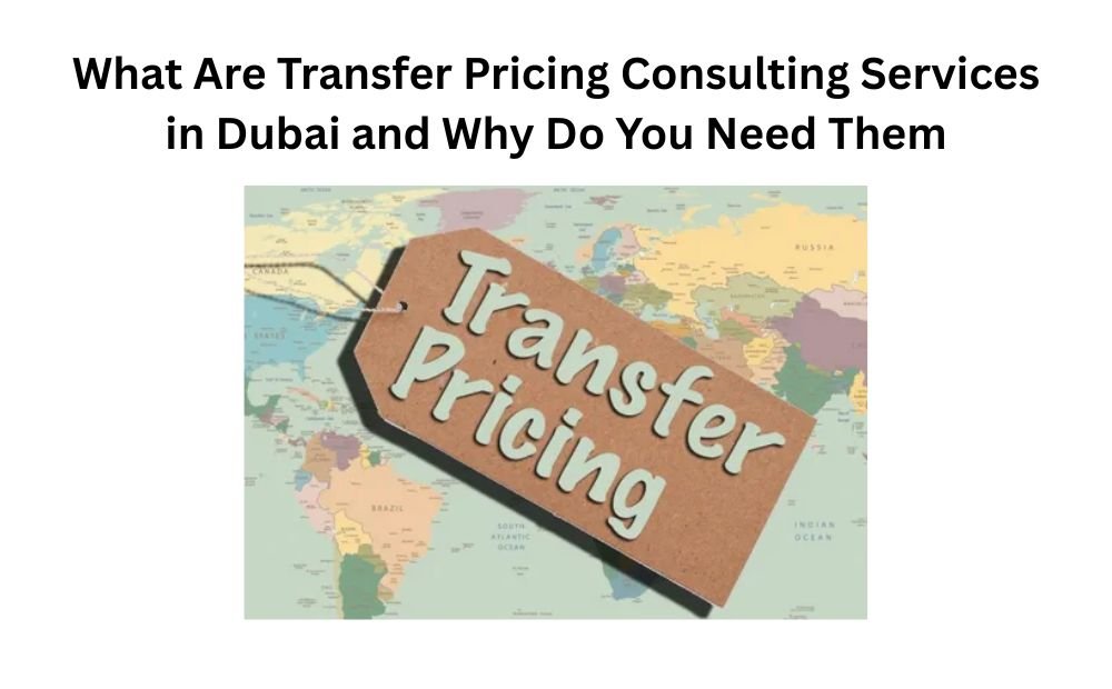 You are currently viewing What Are Transfer Pricing Consulting Services in Dubai and Why Do You Need Them