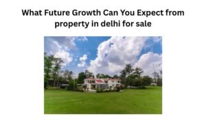 Read more about the article What Future Growth Can You Expect from property in delhi for sale