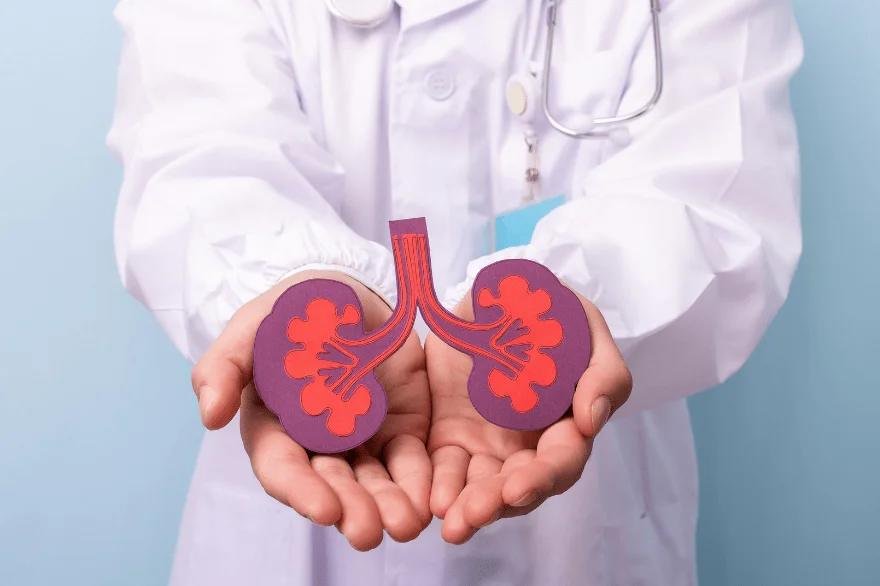 You are currently viewing Guide to the Best Urology Hospital in Guwahati for Patients