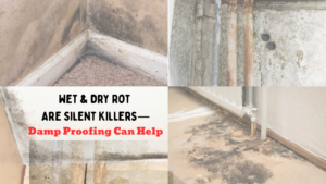 Read more about the article Wet & Dry Rot Are Silent Killers—Damp Proofing Can Help