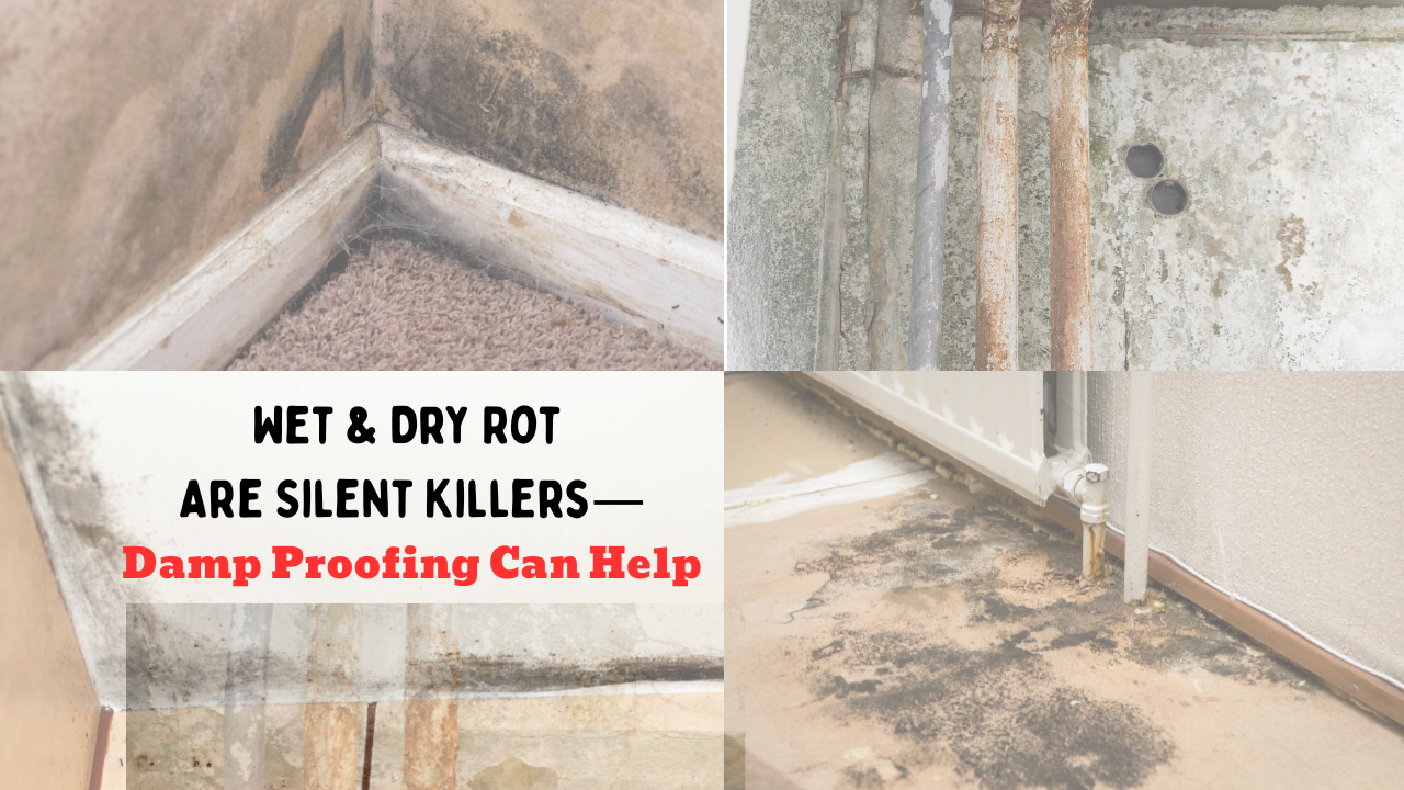 You are currently viewing Wet & Dry Rot Are Silent Killers—Damp Proofing Can Help