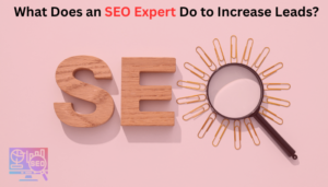 Read more about the article What Does an SEO Expert Do to Increase Leads?