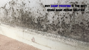 Read more about the article Why Damp Proofing Is the Best Rising Damp Repair Solution