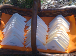 Read more about the article Emotional Healing Through Butterfly Releases at Funerals