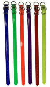 You are currently viewing Dayglo Dog Collars: High-Visibility Style That Keeps Your Dog Safe and Seen