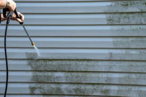 Read more about the article Roof Cleaning Florida Services to Make Your Home Safer