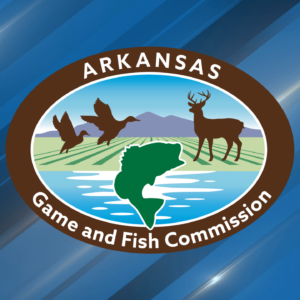 Read more about the article The Ultimate Waterfowl Experience: Exploring Fallin’ Feathers Duck Club