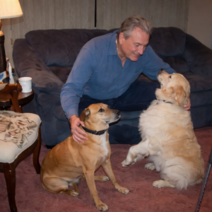 Read more about the article Unlocking Canine Potential: A Complete Guide to Raising a Well-Behaved Dog