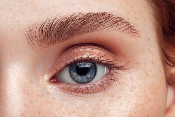 You are currently viewing Does Blepharoplasty Help Improve Vision Problems?