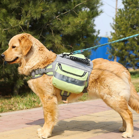 You are currently viewing Best Home & Pet Essentials Online – Upgrade Your Lifestyle Today