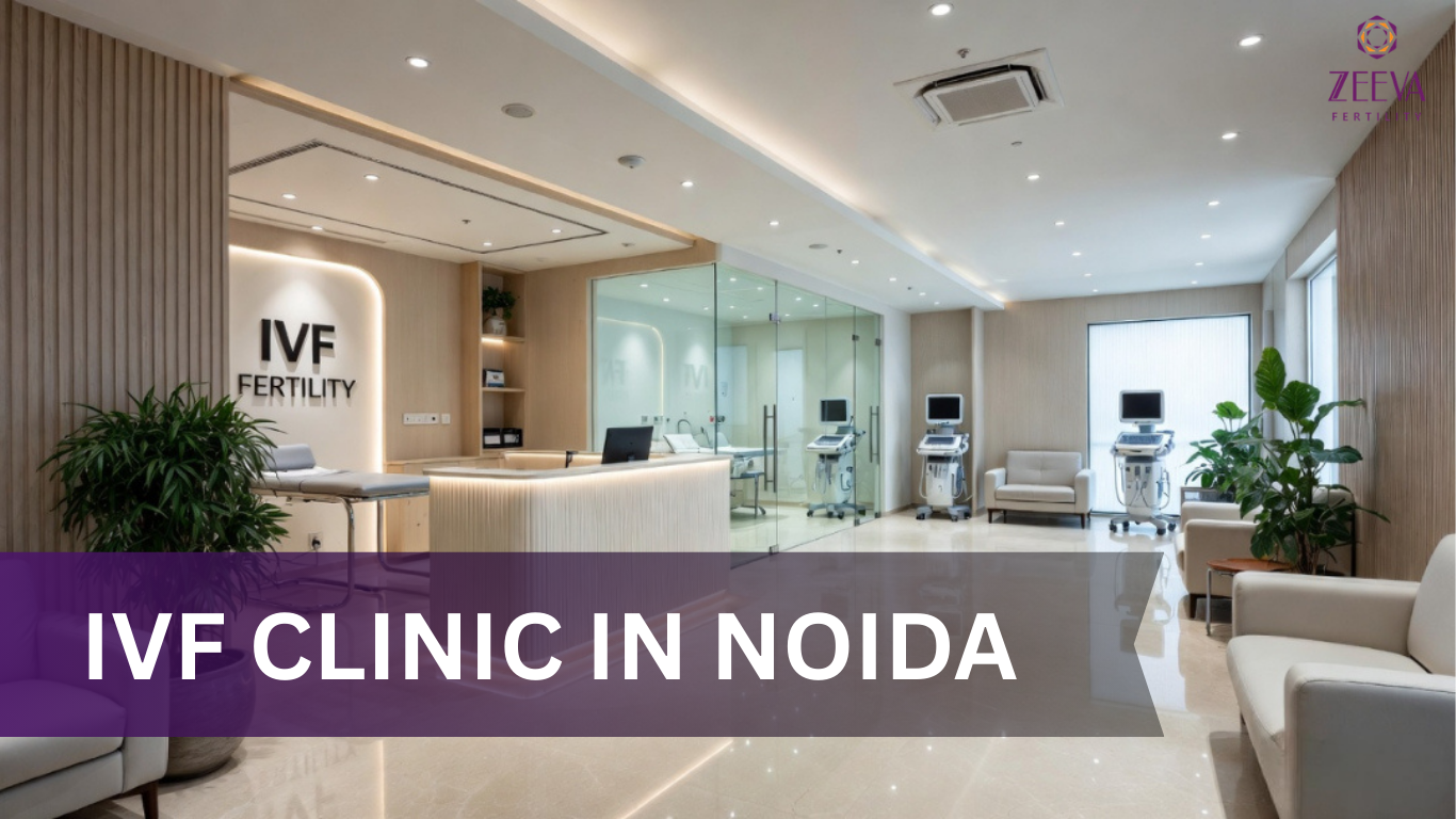 You are currently viewing IVF Clinic in Noida: Everything You Need to Know About Fertility Treatment