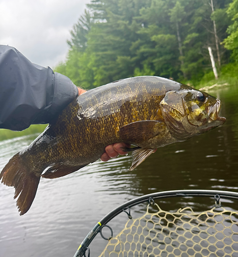 You are currently viewing Why Is Topwater Fishing for Smallmouth So Challenging in Wisconsin?