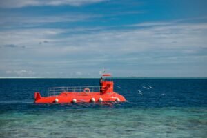 Read more about the article Is the Atlantis Submarine Expedition Worth It for First-Time Travelers?