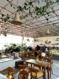 Read more about the article Top Reasons Bhumi Cafe is Called the Rishikesh Best Cafe