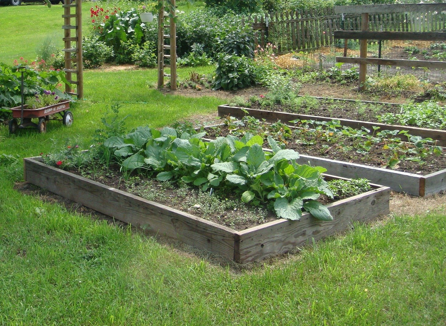 You are currently viewing How to Build a Productive Garden on Any Budget