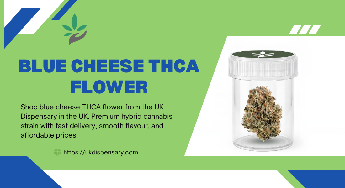 You are currently viewing Best Buy Blue Cheese THCA Flower UK Guide by UK Dispensary