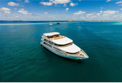 You are currently viewing Discover What Makes a Maldives Diving Trip a Truly Unique Ocean Experience