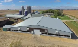 Read more about the article How to Choose the Right Agricultural Building Services for Your Farm?